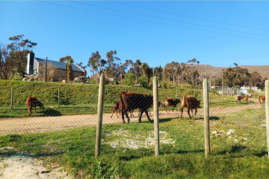 0 Bedroom Property for Sale in Tesselaarsdal Western Cape